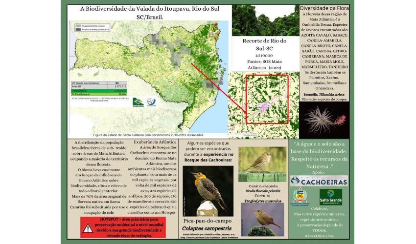 Painel Informativo - A Biodiversidade da Valada do Itoupava, Rio do Sul/SC.